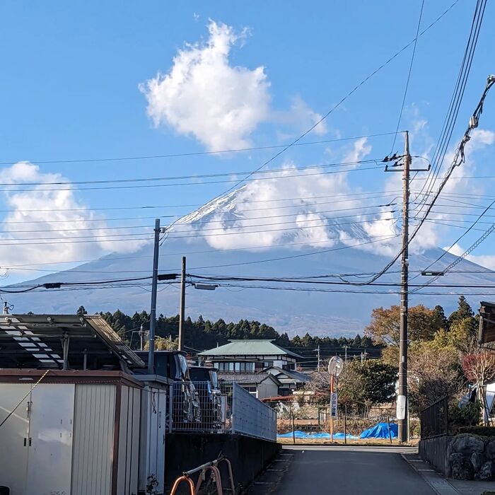 画像259