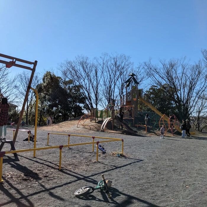 画像305
