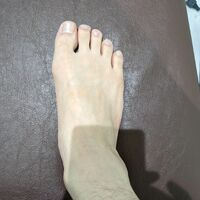 画像315