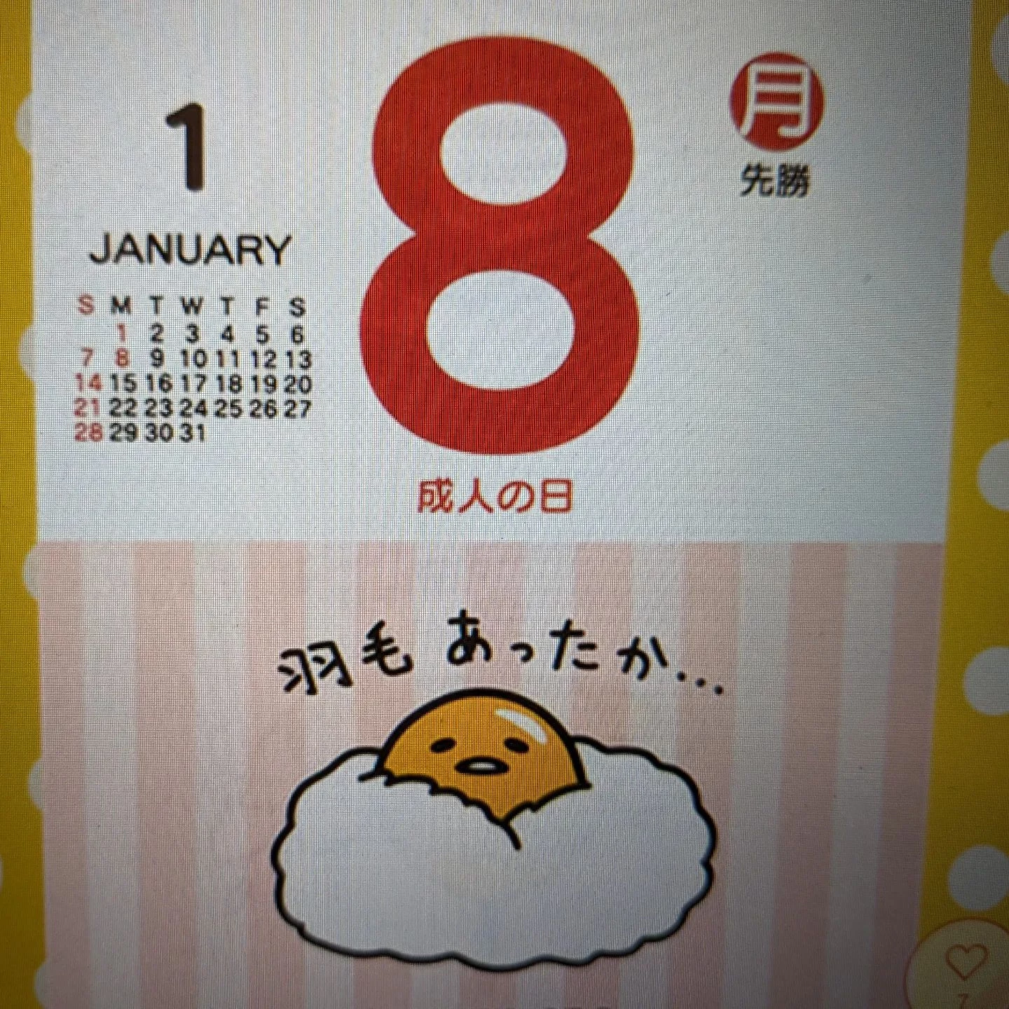 画像371