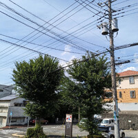 画像561